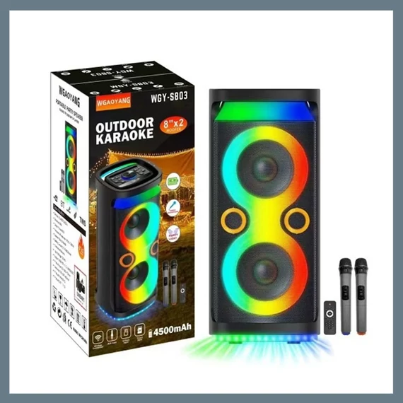 Přenosný Bluetooth reproduktor se 2 mikrofony WGY-S803