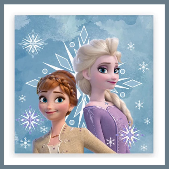 Disney Frozen ručník 30x30 cm BRM016200