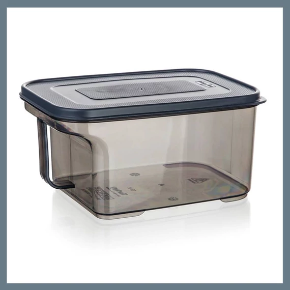 BANQUET ZOYA úložný box s rukojetí, 1,7 l 55077471