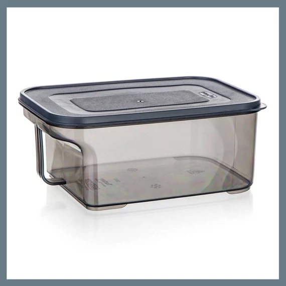 BANQUET ZOYA úložný box s rukojetí, 2,6 l 55077472