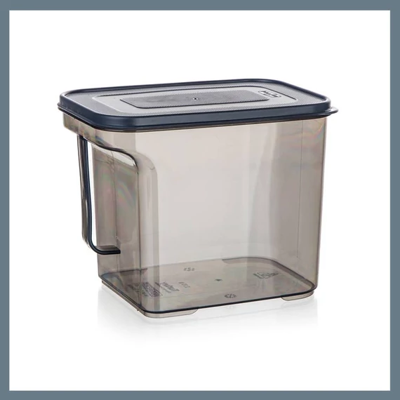 BANQUET ZOYA úložný box s rukojetí, 2,75 l 55077473