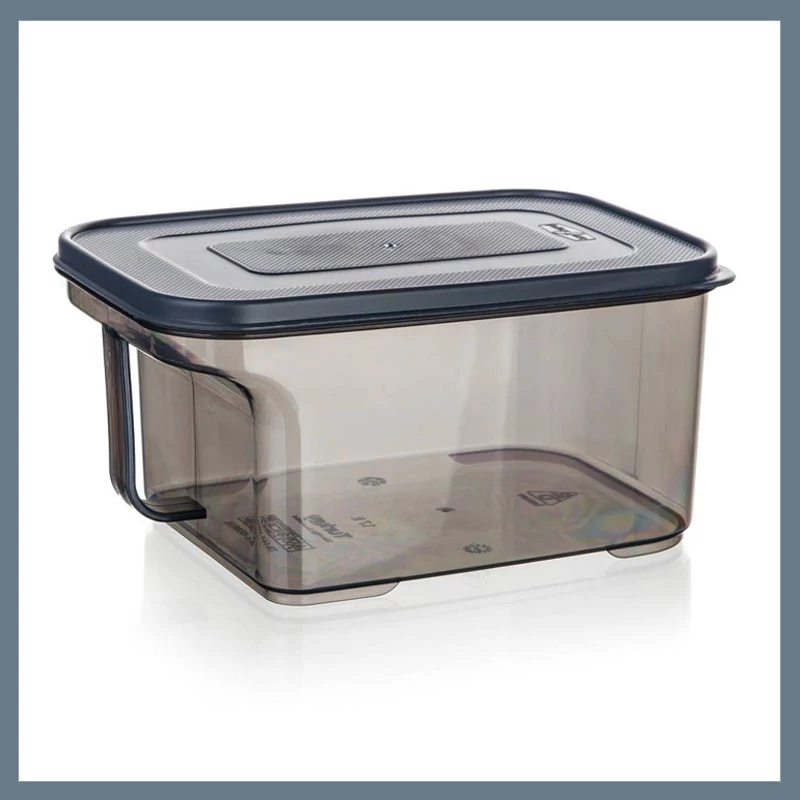 BANQUET ZOYA úložný box s rukojetí, 1,7 l 55077471