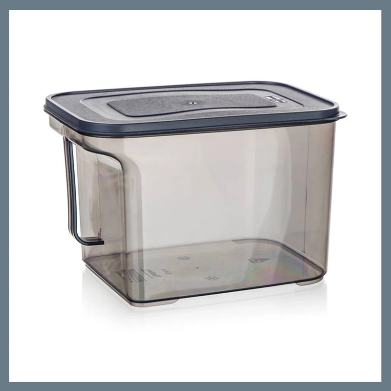 BANQUET ZOYA úložný box s rukojetí, 3,25 l 55077474